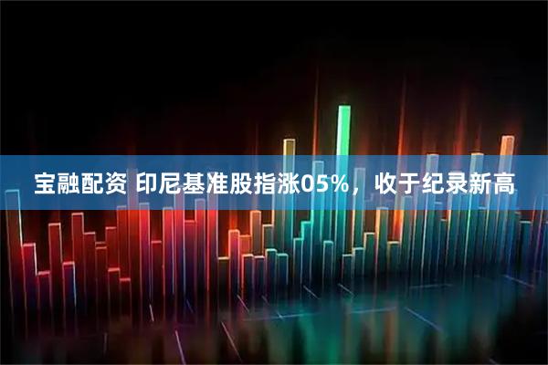 宝融配资 印尼基准股指涨05%，收于纪录新高