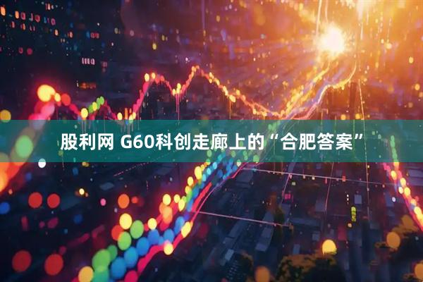 股利网 G60科创走廊上的“合肥答案”