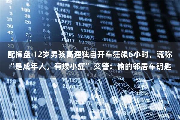 配操盘 12岁男孩高速独自开车狂飙6小时，谎称“是成年人，有矮小症” 交警：偷的邻居车钥匙