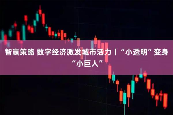 智赢策略 数字经济激发城市活力丨“小透明”变身“小巨人”